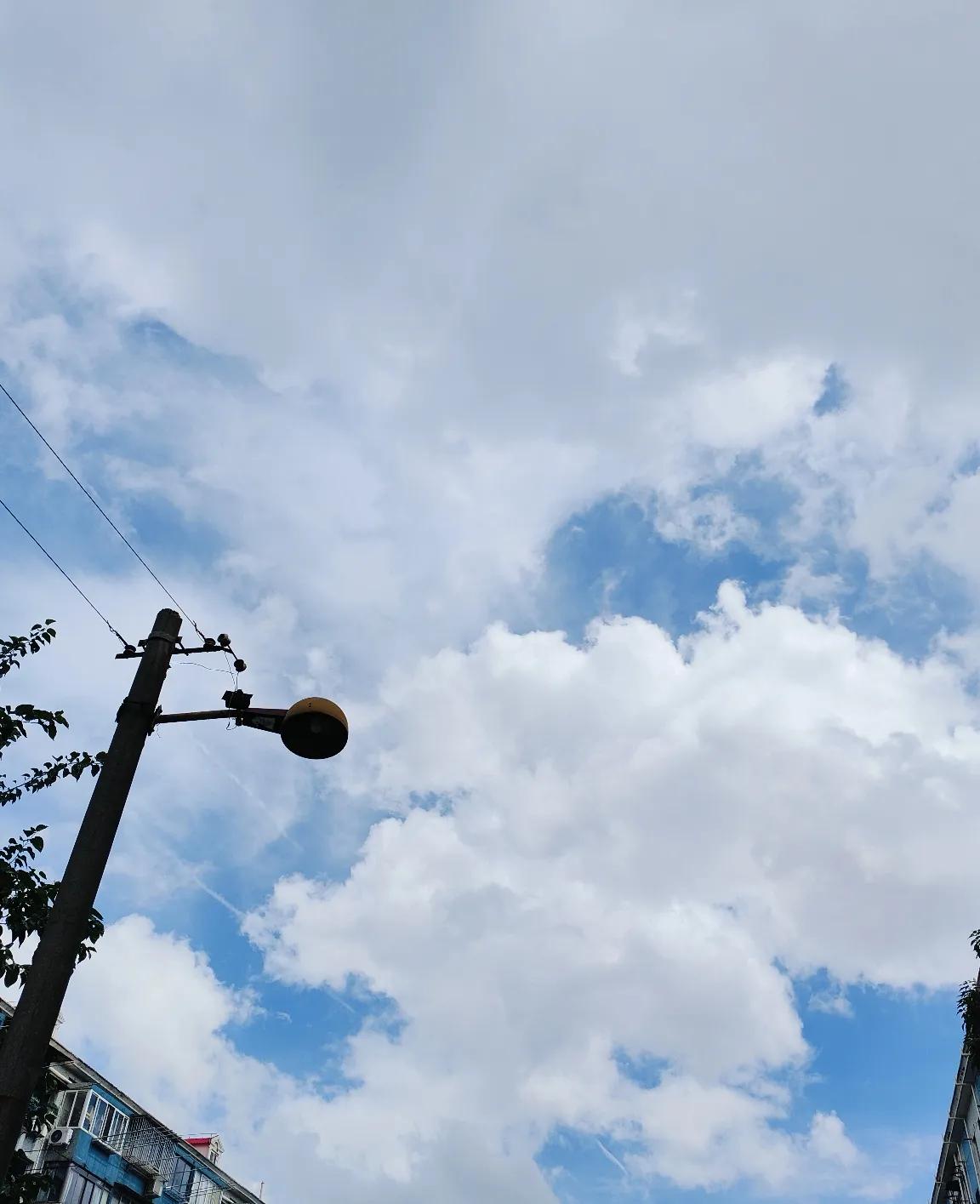 有没有那种家庭，就是子女是姐弟，父母什么都贴补弟弟，转头到后来，弟弟不养，还得姐