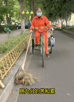 这树叶真乖只落在路沿边，我这里的树叶落得满大街都是。