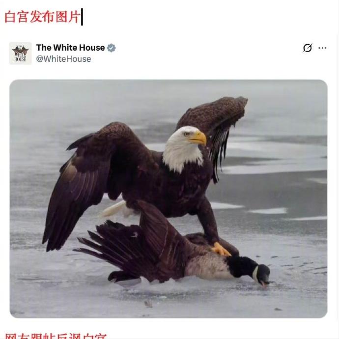 白宫“鹰压鹅”翻车，特朗普改湖名又被怼：虚张声势能唬住谁？

白宫8月26日发了