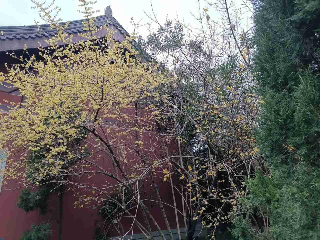 我的今日状态：😁轻松愉快
我这里的天气：☁️阴天

杭州今天最低气温来到了-1