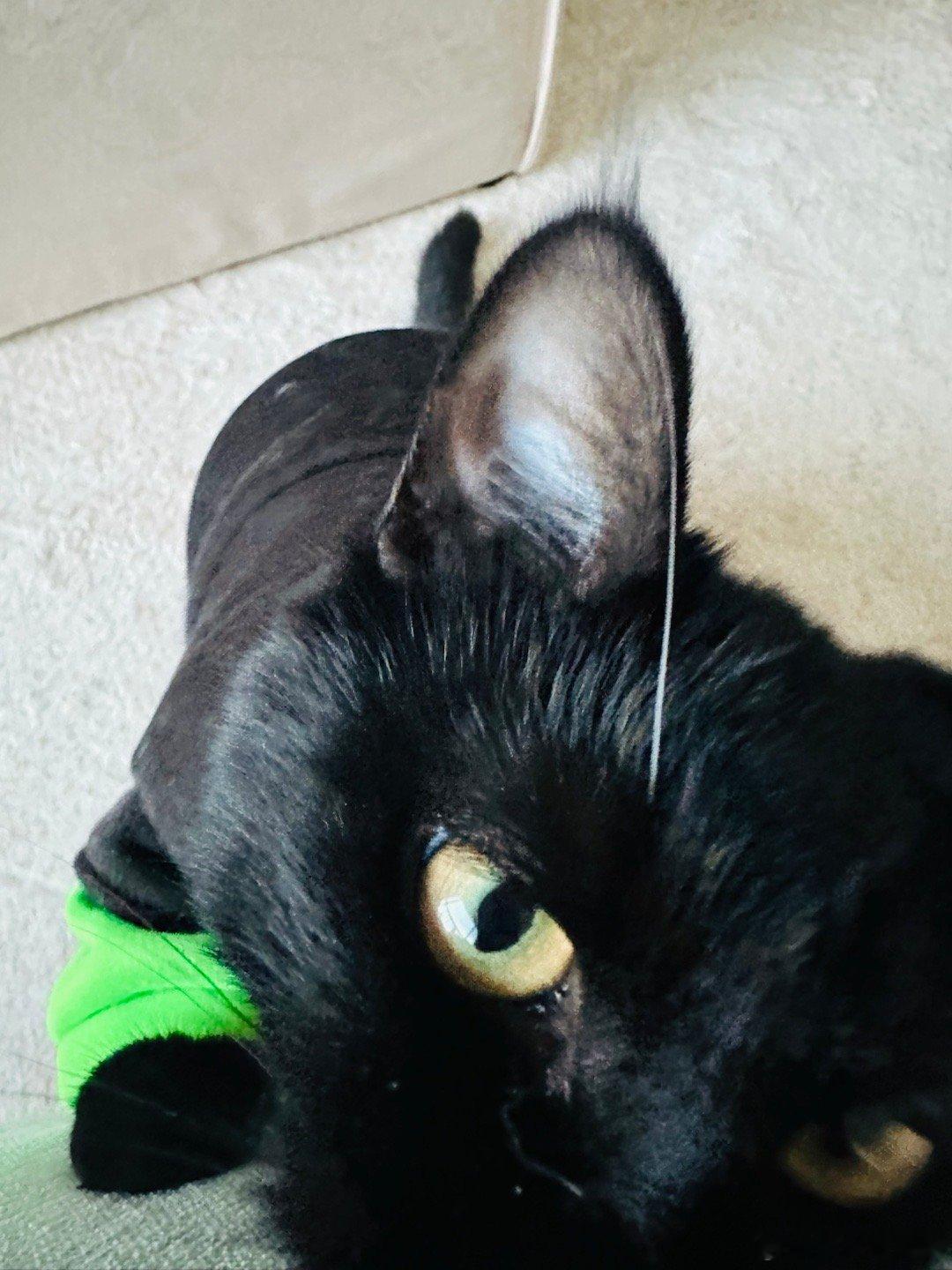 城门楼子和胯骨轴子，该怎样彼此理解？🤔一定有妙法…… 