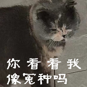 林俊杰评论区我觉得应该是信任崩塌：先否认后官宣，让粉丝成"冤种"了 