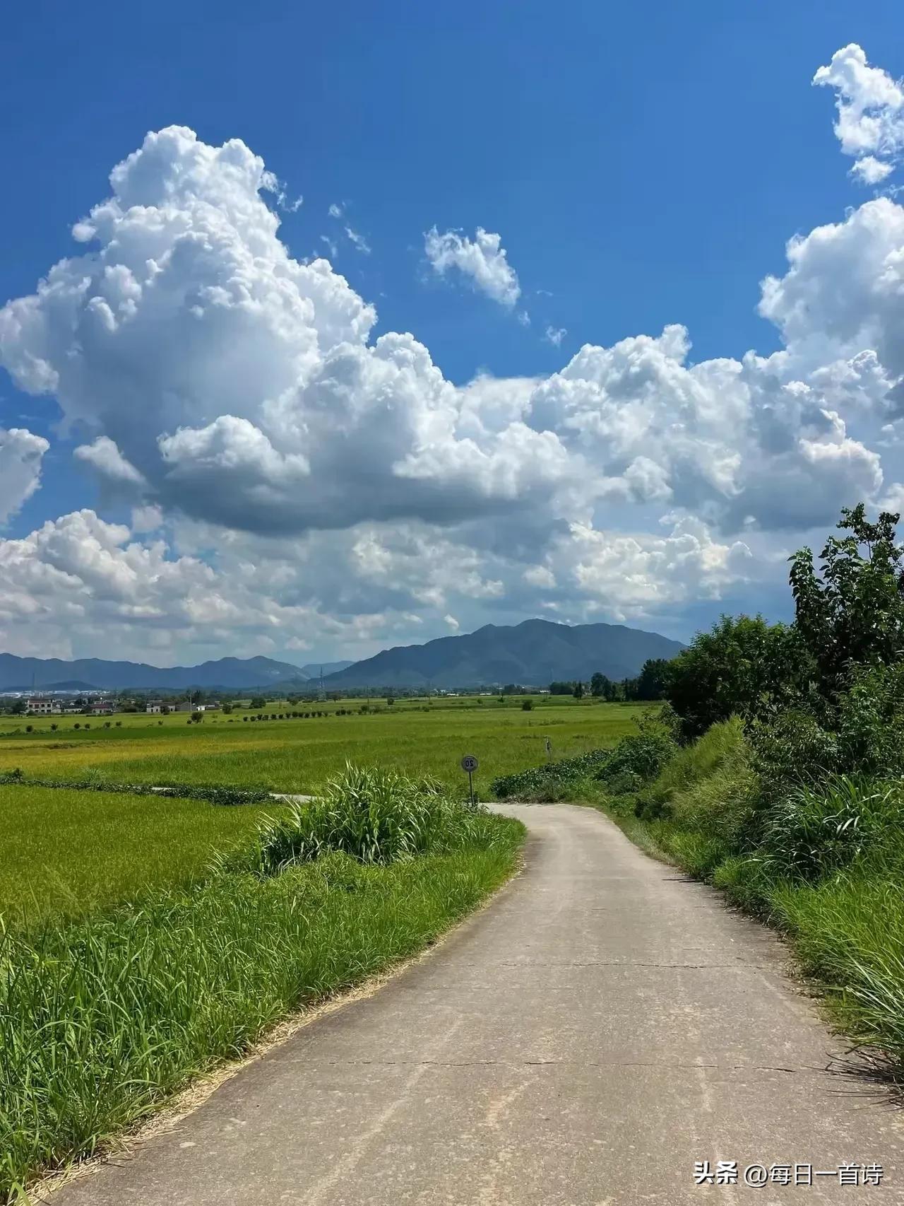 麦地里的王

我要做你麦地里的王

把骨头埋进你金黄的波浪

春天来时，我的血会