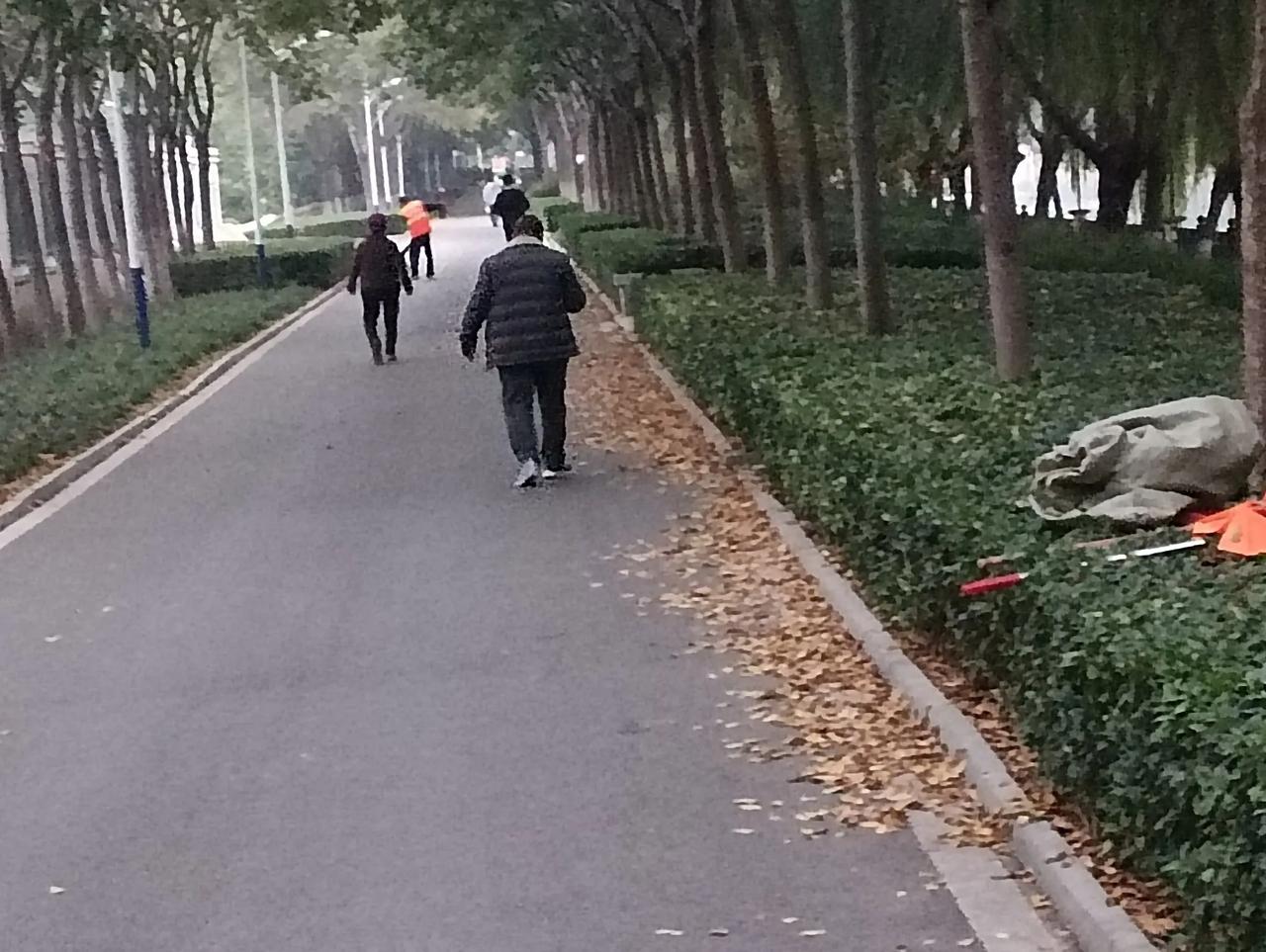 辛苦的环卫工！
   一场秋风，叶子纷纷飘落。
   环卫工人，勤劳辛苦工作。