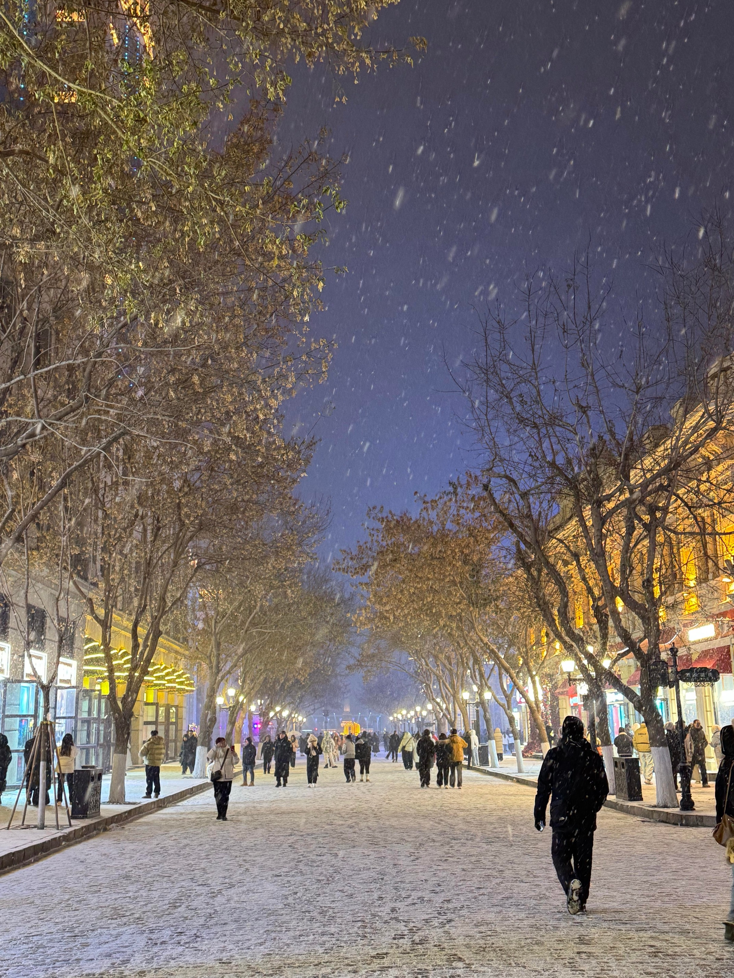 林更新赵本山儿子首次合作 一些从来没想过的合作出现了，林更新和赵本山儿子搭档拍摄