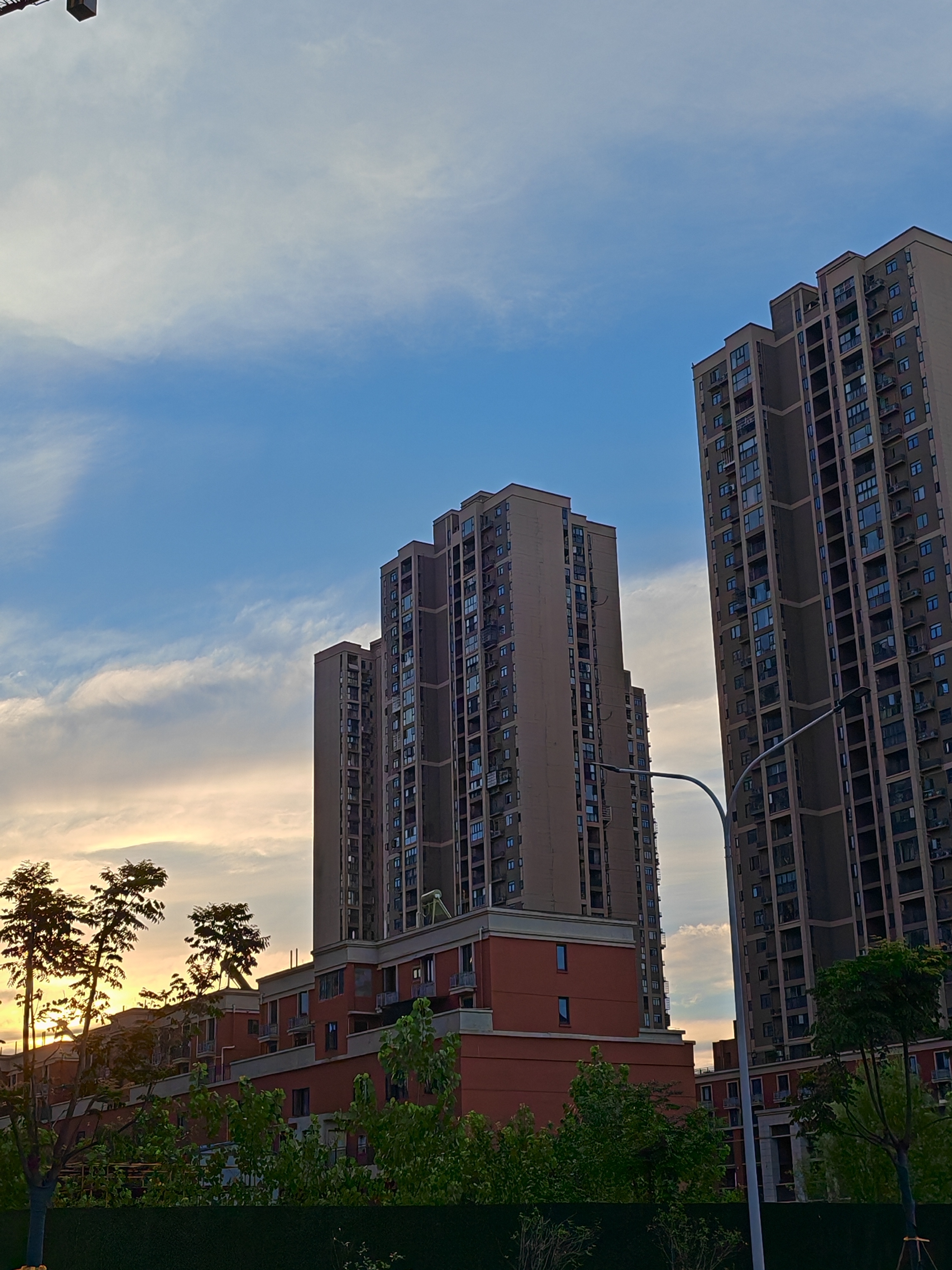 不愧是木墓未月。这两天路上见的枯黄落叶都多了起来，小风一刮，呼呼往下掉。木气生发