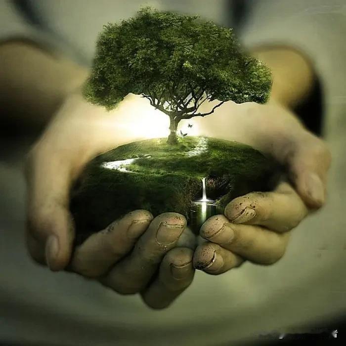 世间众生皆有独特风华，先天或是后天带来的身体缺憾，从来都挡不住人心深处迸发的炽热