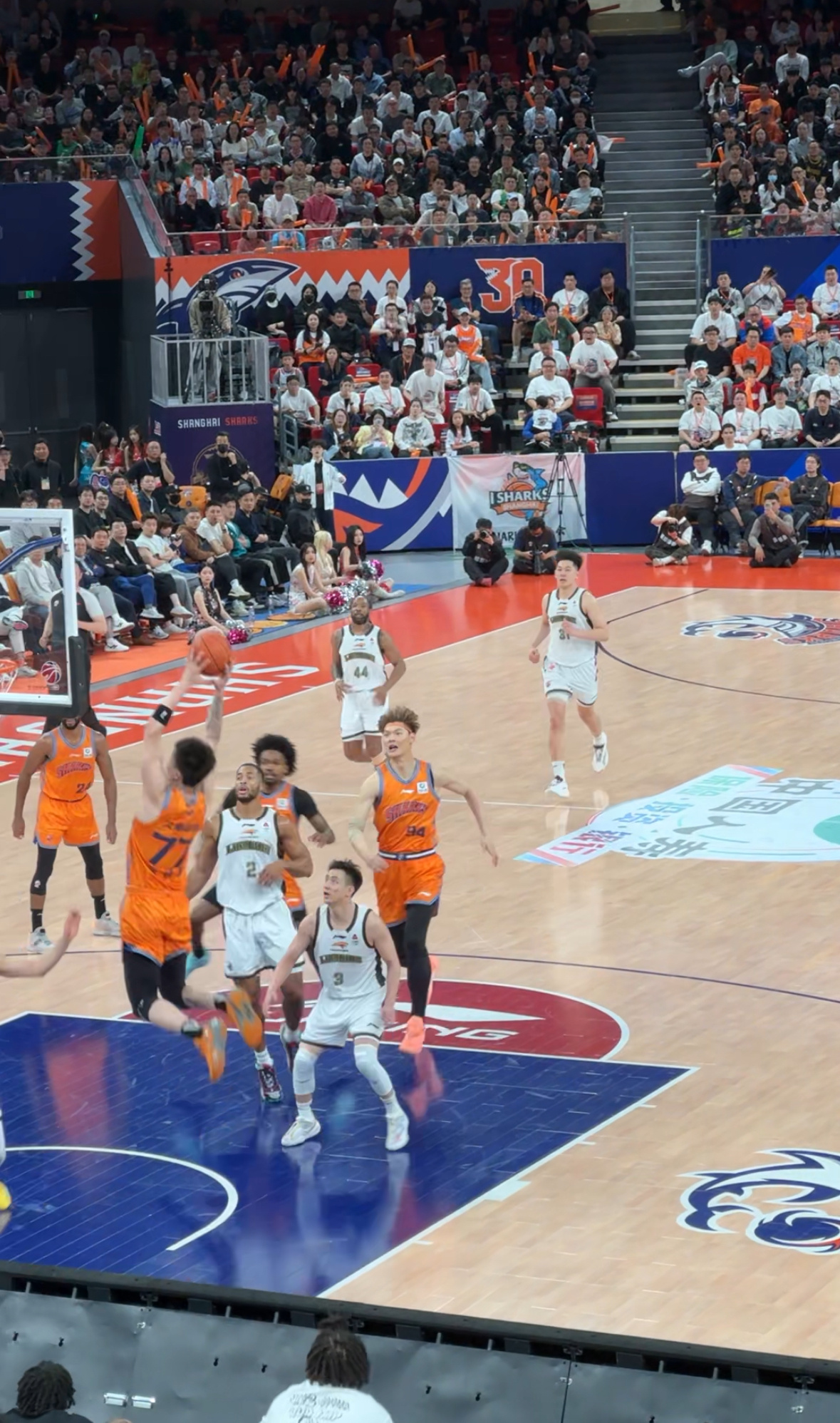 张镇麟 本赛季我终于在现场看到金金的空中接力了来了这么多场终于看到了上海男篮vs