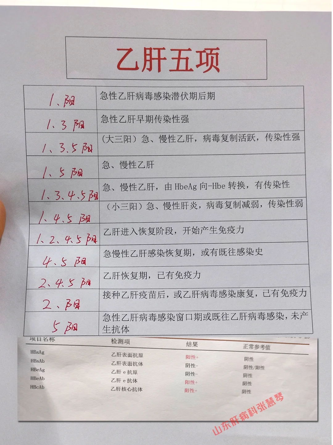 干货！乙肝五项最全解读！建议收藏→
