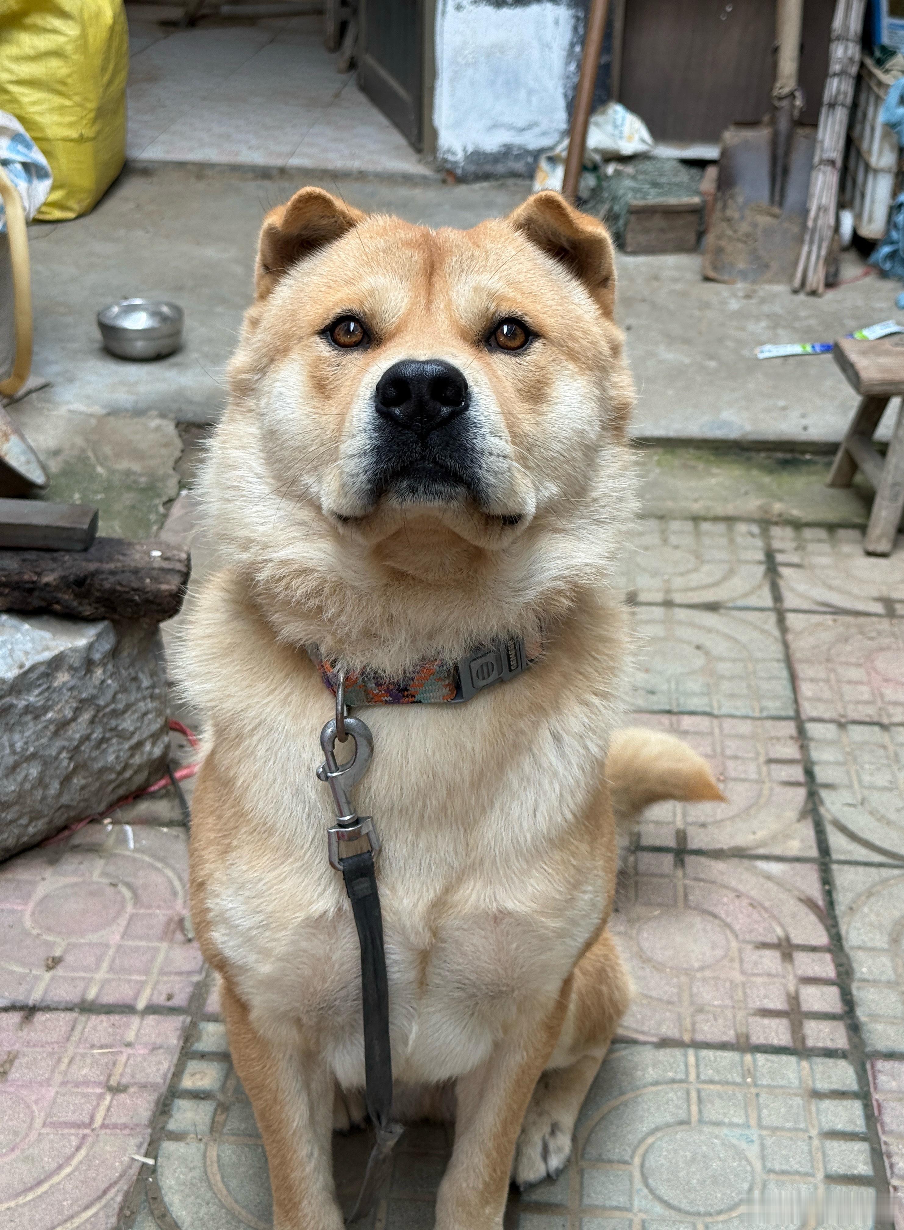 十里八乡的俊后生 ​​​