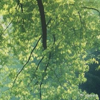生活手记成年人最愚蠢的行为：是不停的给别人讲道理、争对错。位置不同，少言为贵；认