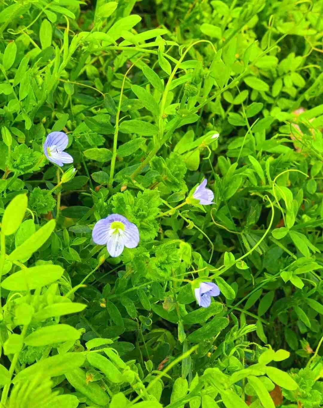 我的今日状态：💪🏻充满干劲
我这里的天气：🌈雨过天晴