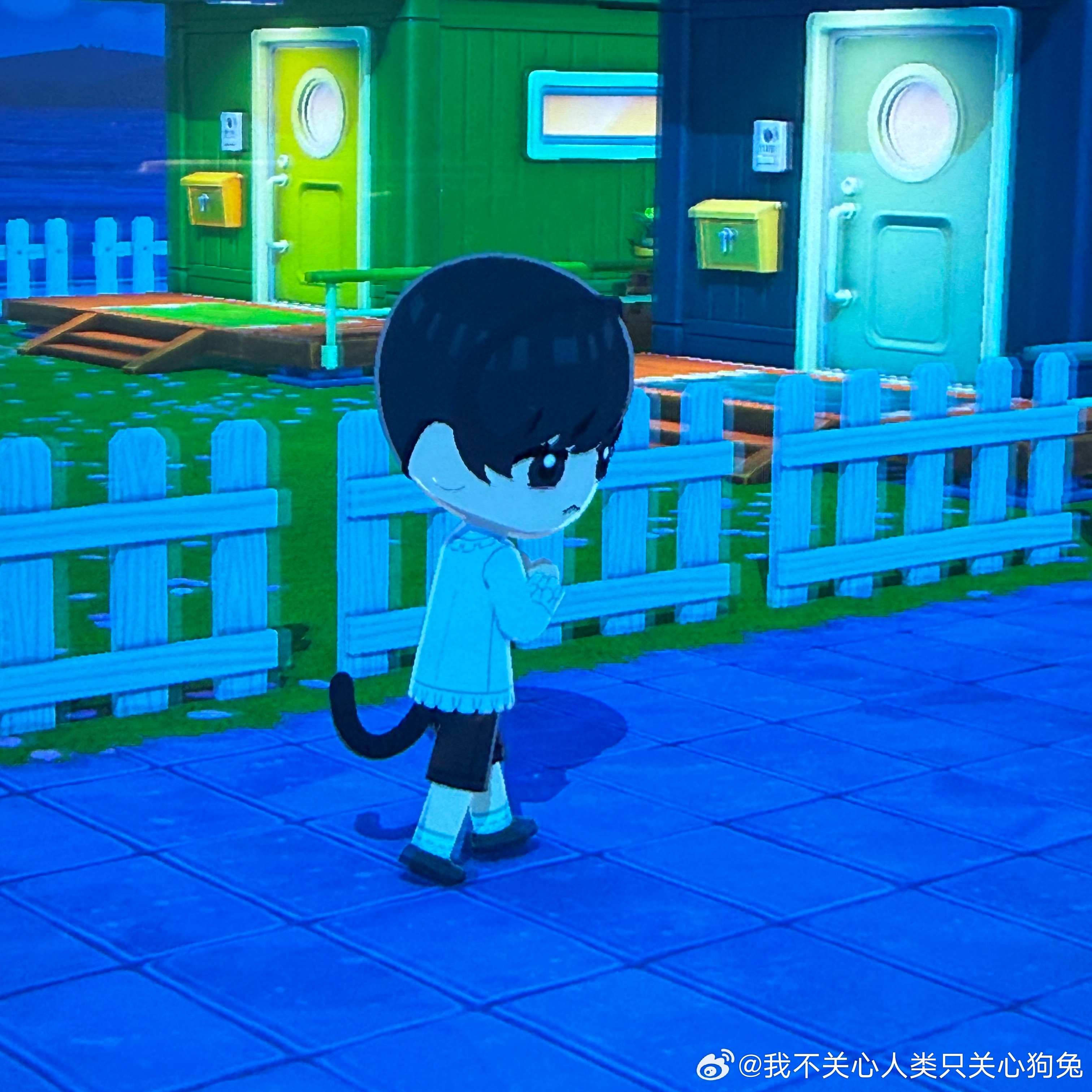 这太萌了啦 李全霖 ​​​