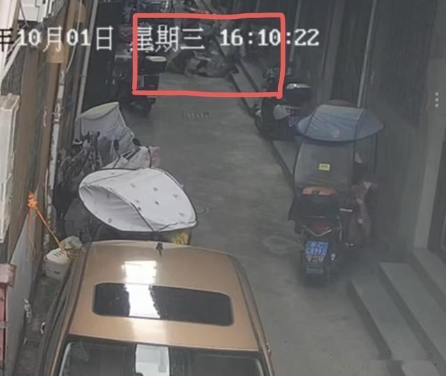 令人寒心！浙江温州，八旬老人，看到一残疾老太跌倒，上前搀扶时，两人一起摔倒，7天