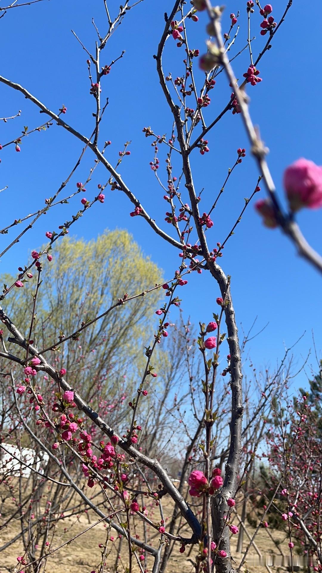过去男人穿裤子，是前开门的，女人穿裤子是旁开门的！
……现在都是前开门的，不分男