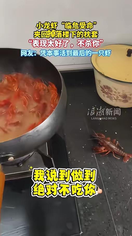 凭实力续命！滁州女子枕套掉落楼下，小龙虾凭钳子立功，躲过红烧一劫
 
浪潮新闻6