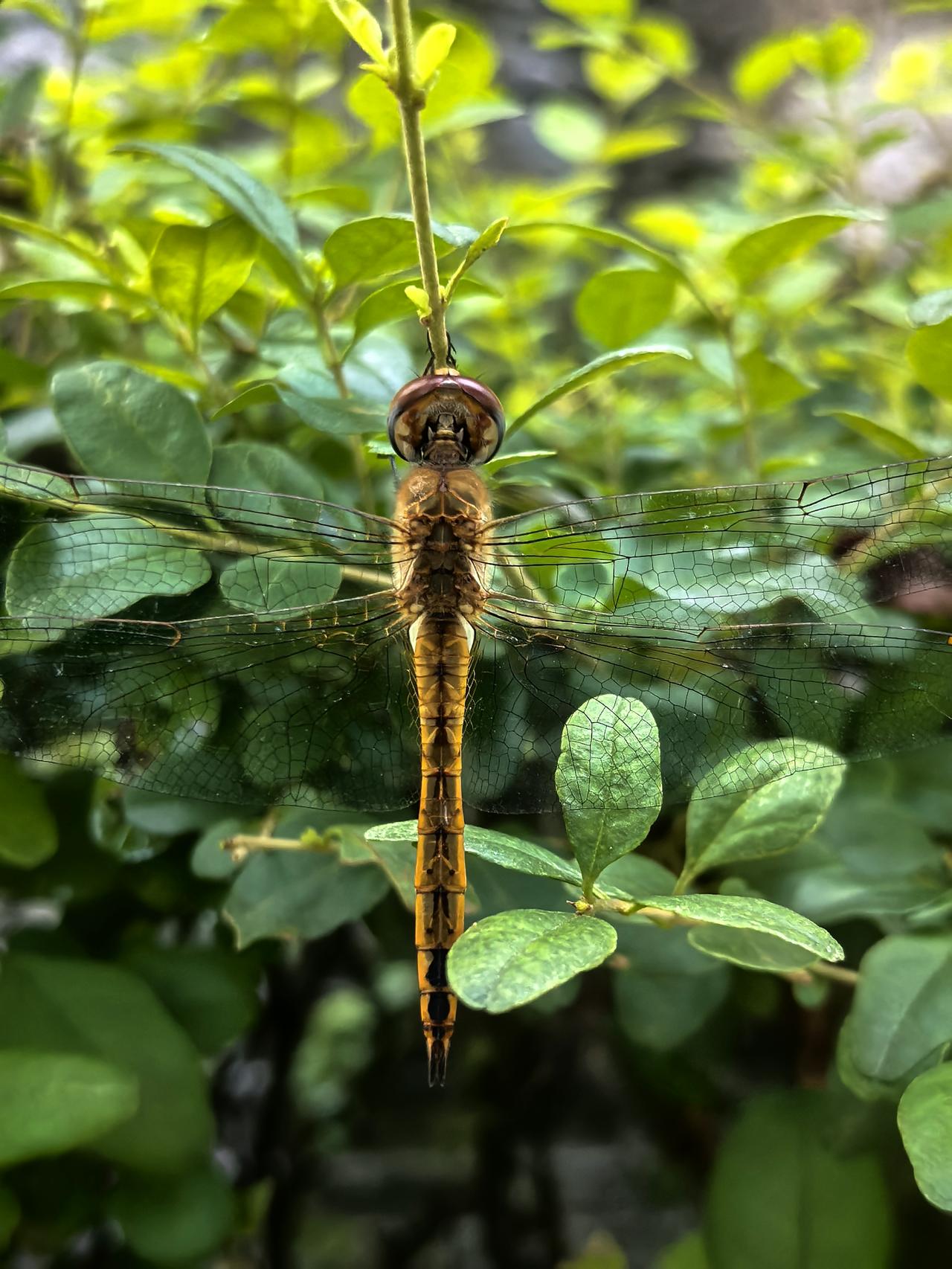 我的个人主页被官方推荐了，快来和我互动吧！