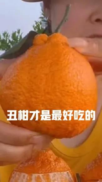 我比较喜欢吃柑橘，最初都是大家习以为常的火柑、广柑等，后来还有什么耙耙柑、沃柑之