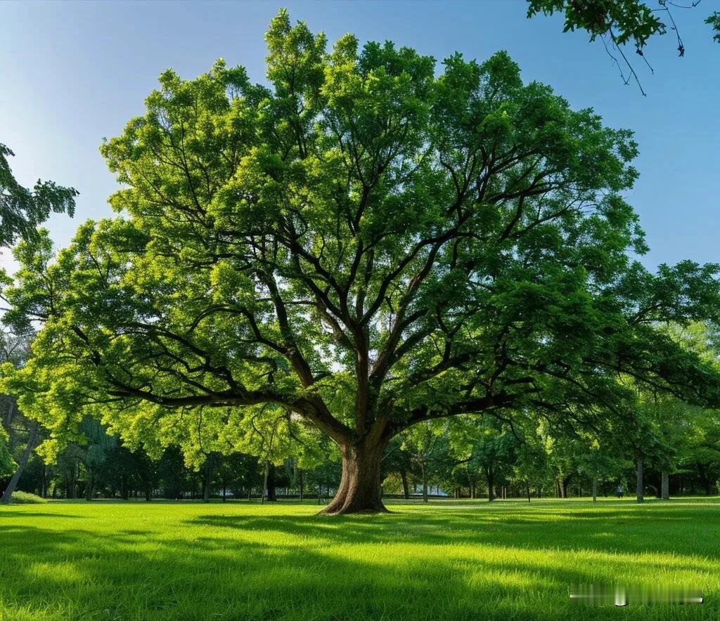 琼瑶阿姨这才往生没几天
网上对她的负面评论不断

一些人爆出她过往的婚史
一些人