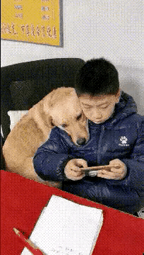 要不说现在这狗就聪明呢，见多识广，知识面绝对不一样！