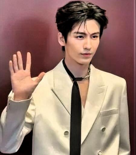 - 理想形成的合理性：张凌赫毕业于南京师范大学电气工程及其自动化专业，国家电网是