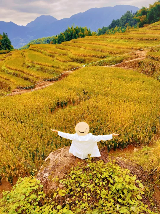 云和梯田怎么玩？看这一篇就够了（附攻略）