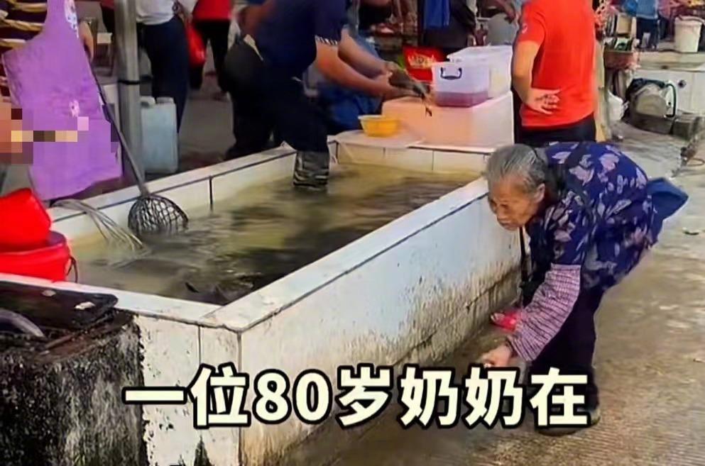 心酸又感动！80岁老奶奶捡起地上的死鱼，问鱼贩能不能把死鱼送给她？鱼贩一愣，说鱼