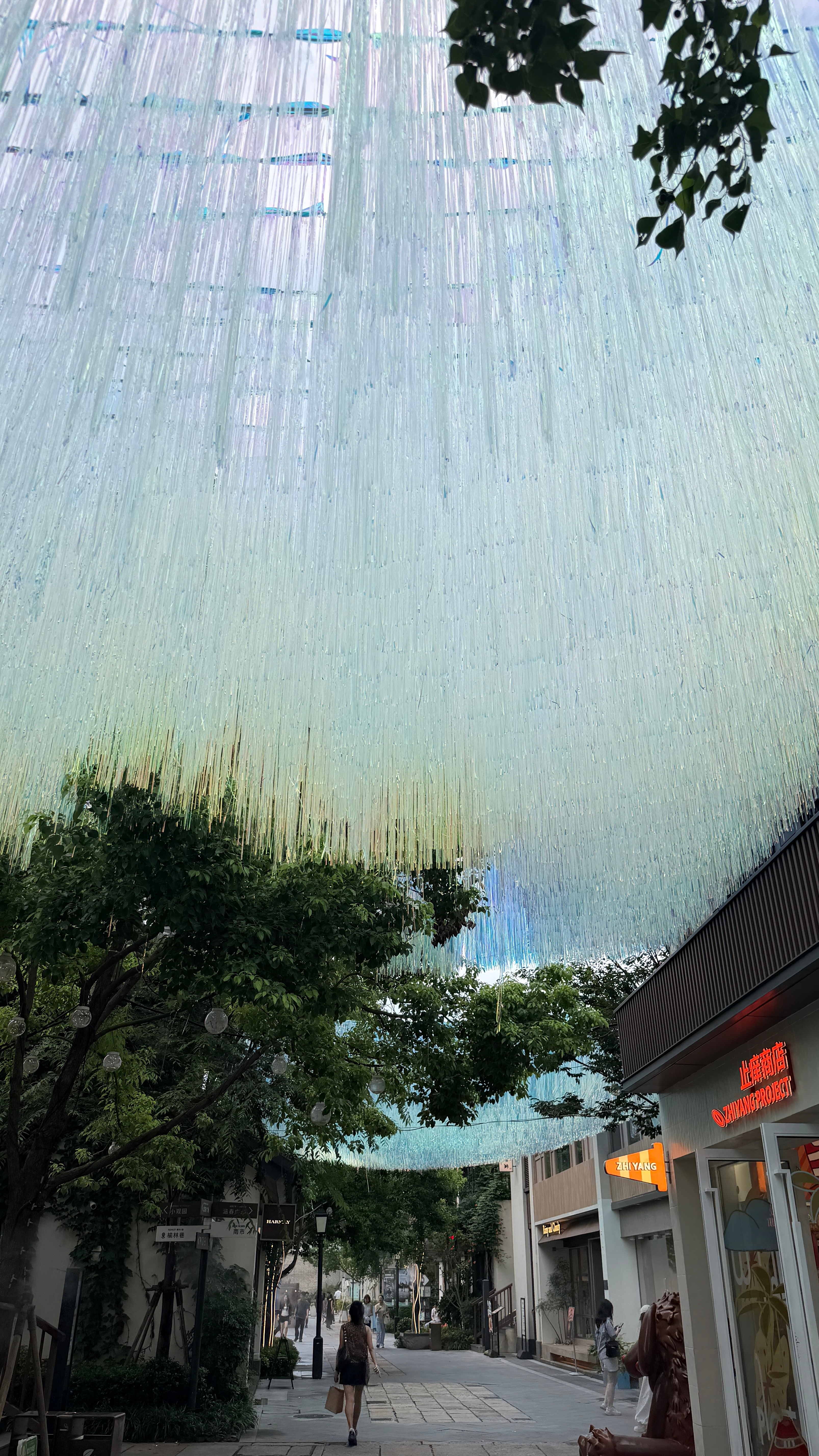 一些森系 上海·上海蟠龙天地
