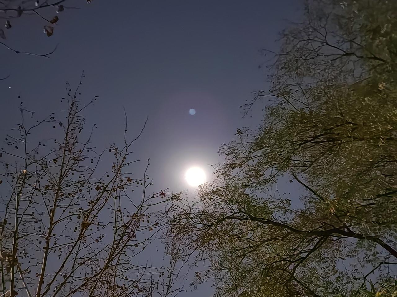 某学校为防学生偷偷抽烟，实施封闭管理，一周允许离开学校一次。因为，买一盒烟不够抽