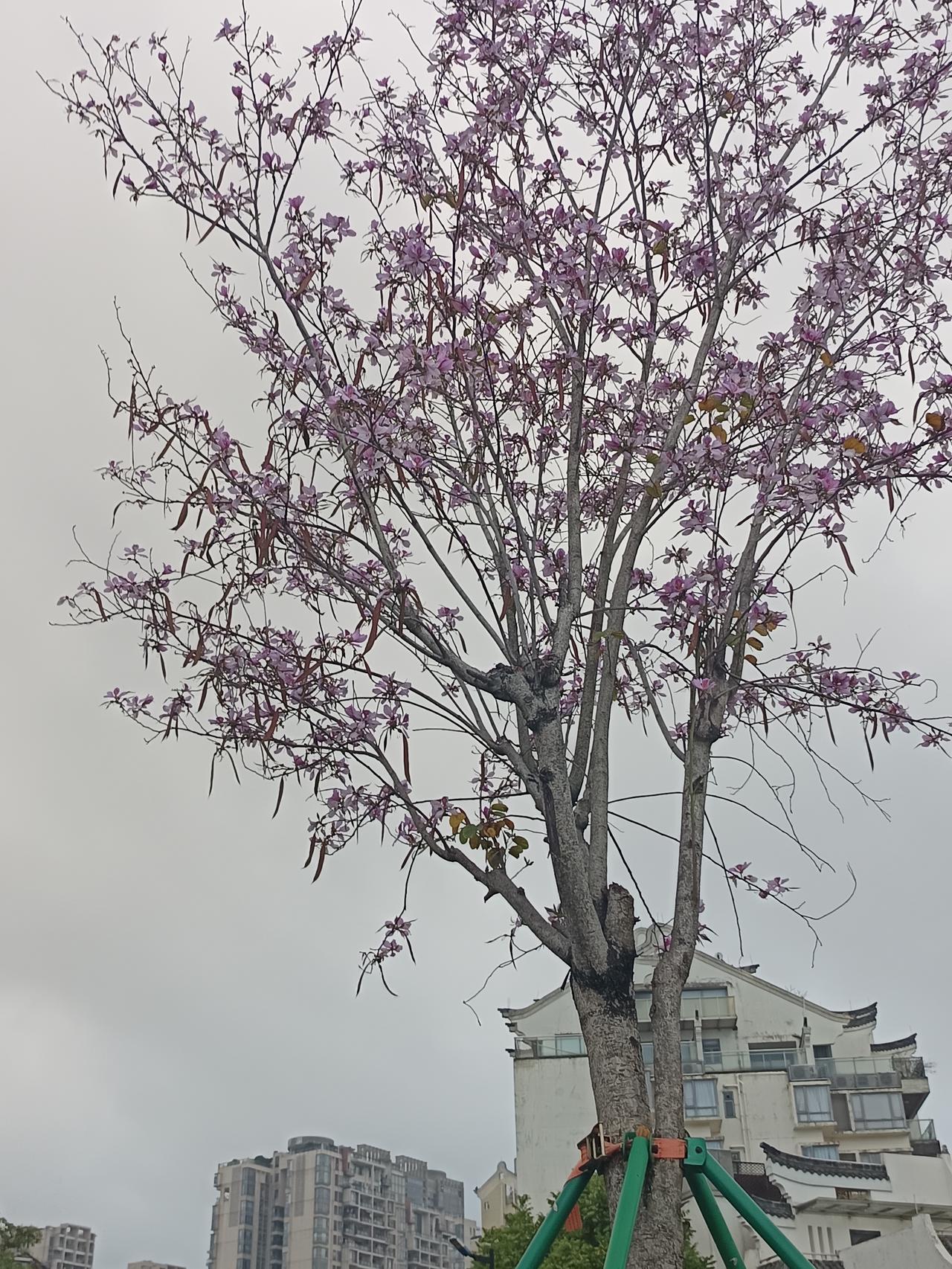 我终于知道了
为什么有些人这么忙碌，工作一天
却依然赚不了什么钱

你敢相信吗？