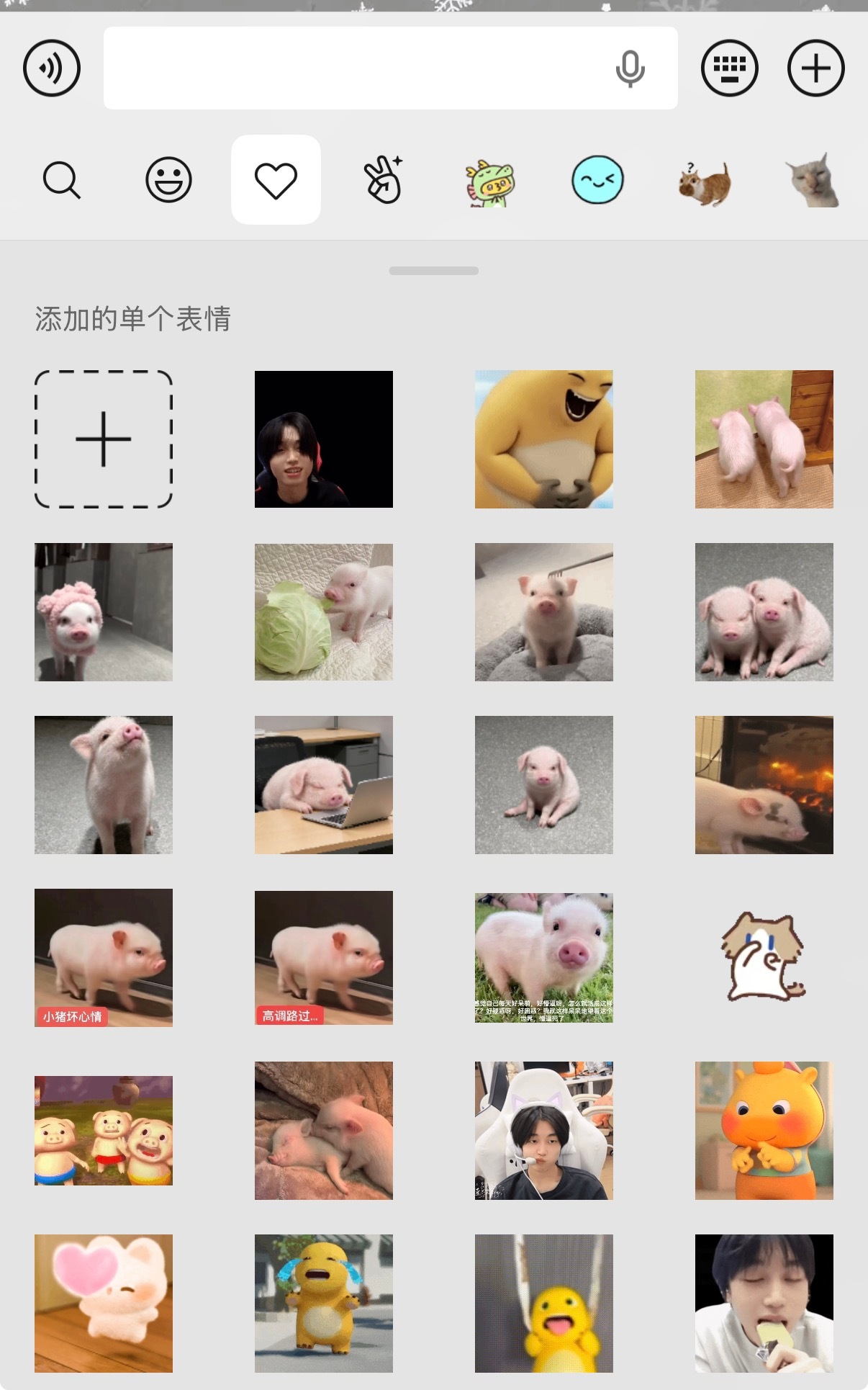 表情包全是猪啊龅啊…… 