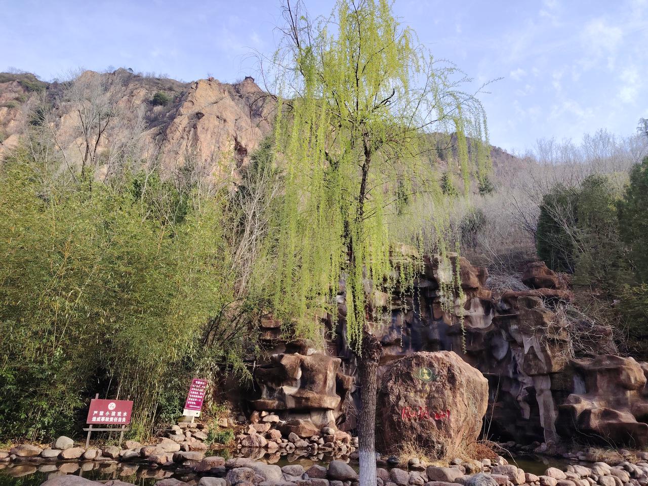 早春时节，凤冠山褪去冬日沉寂，换上清新春色。桃红点染枝头，柳丝轻摇含烟，迎春花开