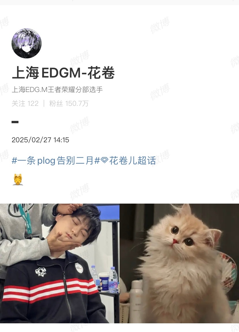 花卷猫塑自己 两张图有什么区别[可怜][可怜][可怜]吴花卷本体被发现咯[兔子]