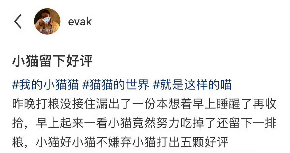 小猫留下好评
