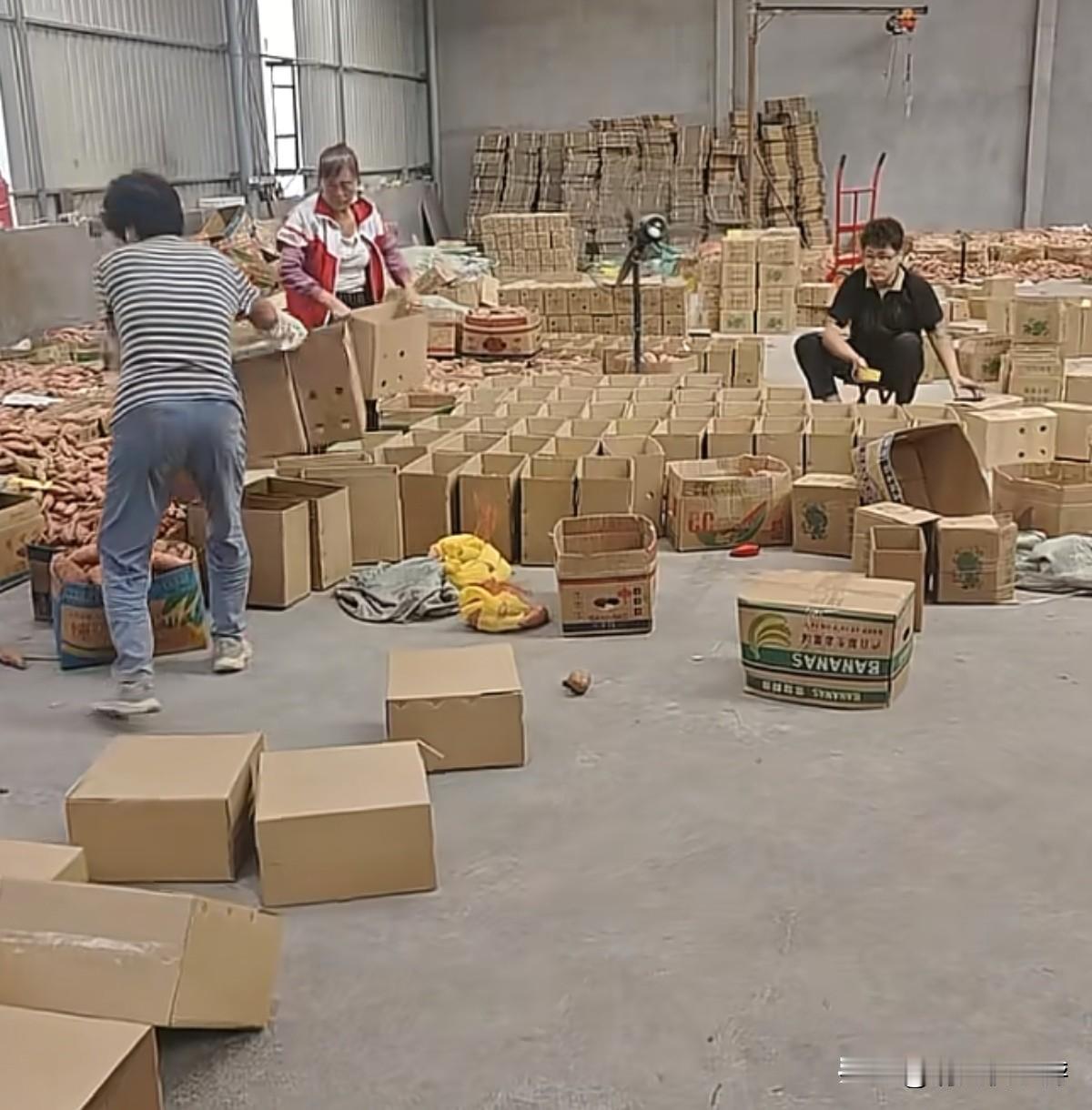 真是啥人都有，太气人了，大家快来评评理，我一个人在家做电商，每天发点日常工作，竟
