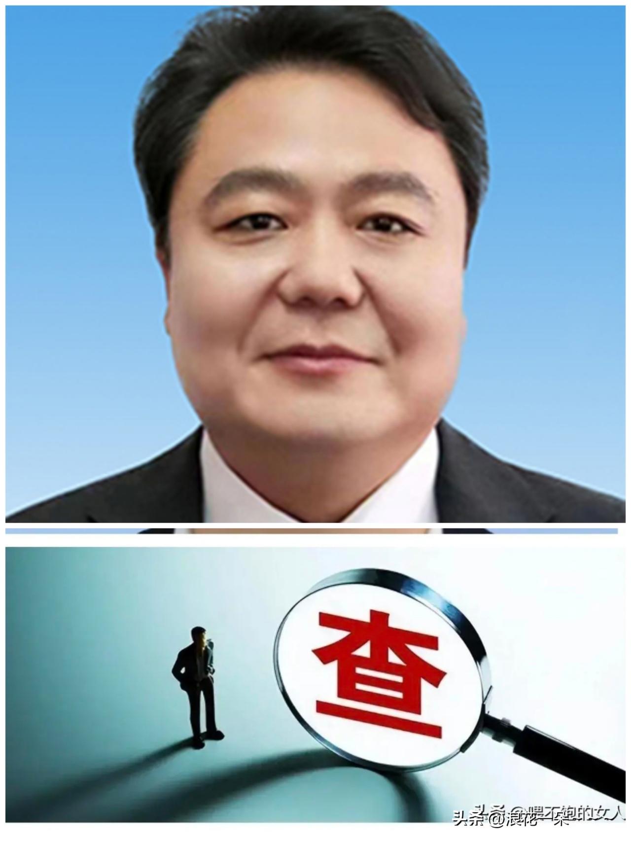 …6月16日，主政南阳市近两年的“路红卫”被查，于是看了一下他的简历和工作履历。