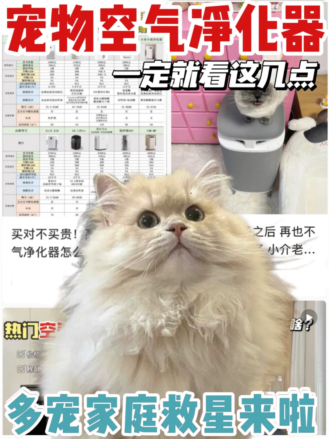 宠物家庭选宠物空气净化器？认准这几点就行