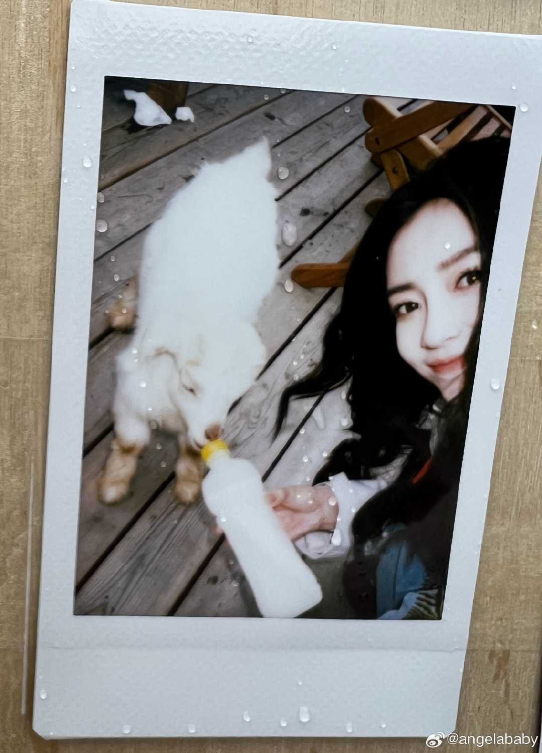 angelababy angelababy ☆: ⁺⭑〃 你是我每一封情书的主角