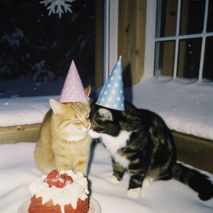 我们的😼☃️ 