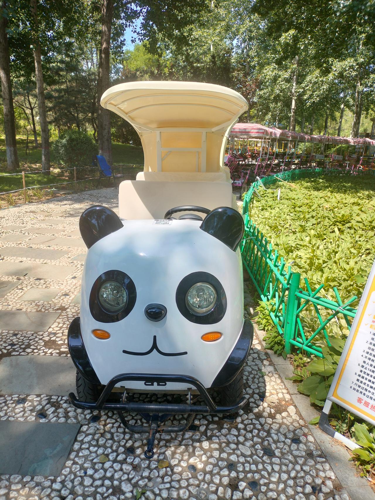 逛公园发现好多可爱造型的电动车，有老虎的，有熊猫的，造型太可爱了，一眼就心动了。