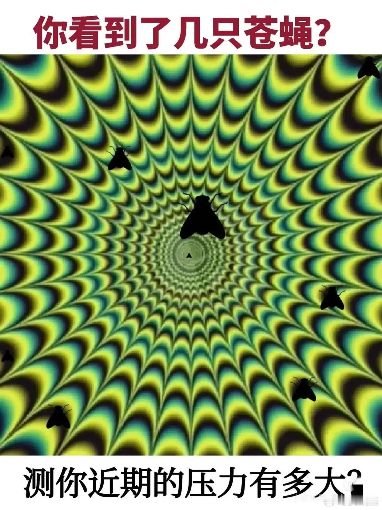 压力山大，眼睛一眨多一只苍蝇！ ​​​