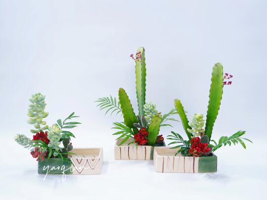 多肉与仙人掌插花