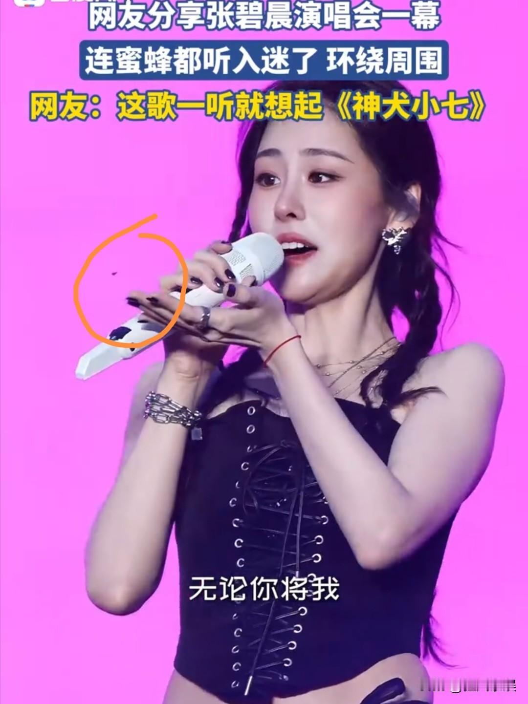 网友分享张碧晨演唱会奇幕，连蜜蜂都听入迷了，环绕周围

近日，有网友分享了一段张