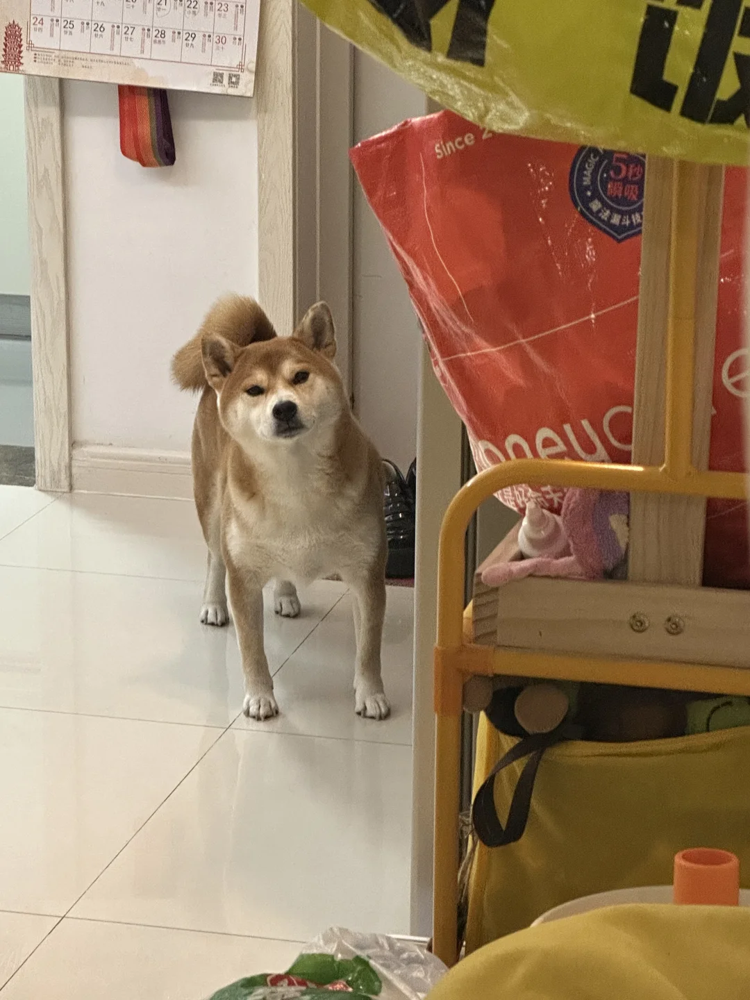 人 你干嘛呢？