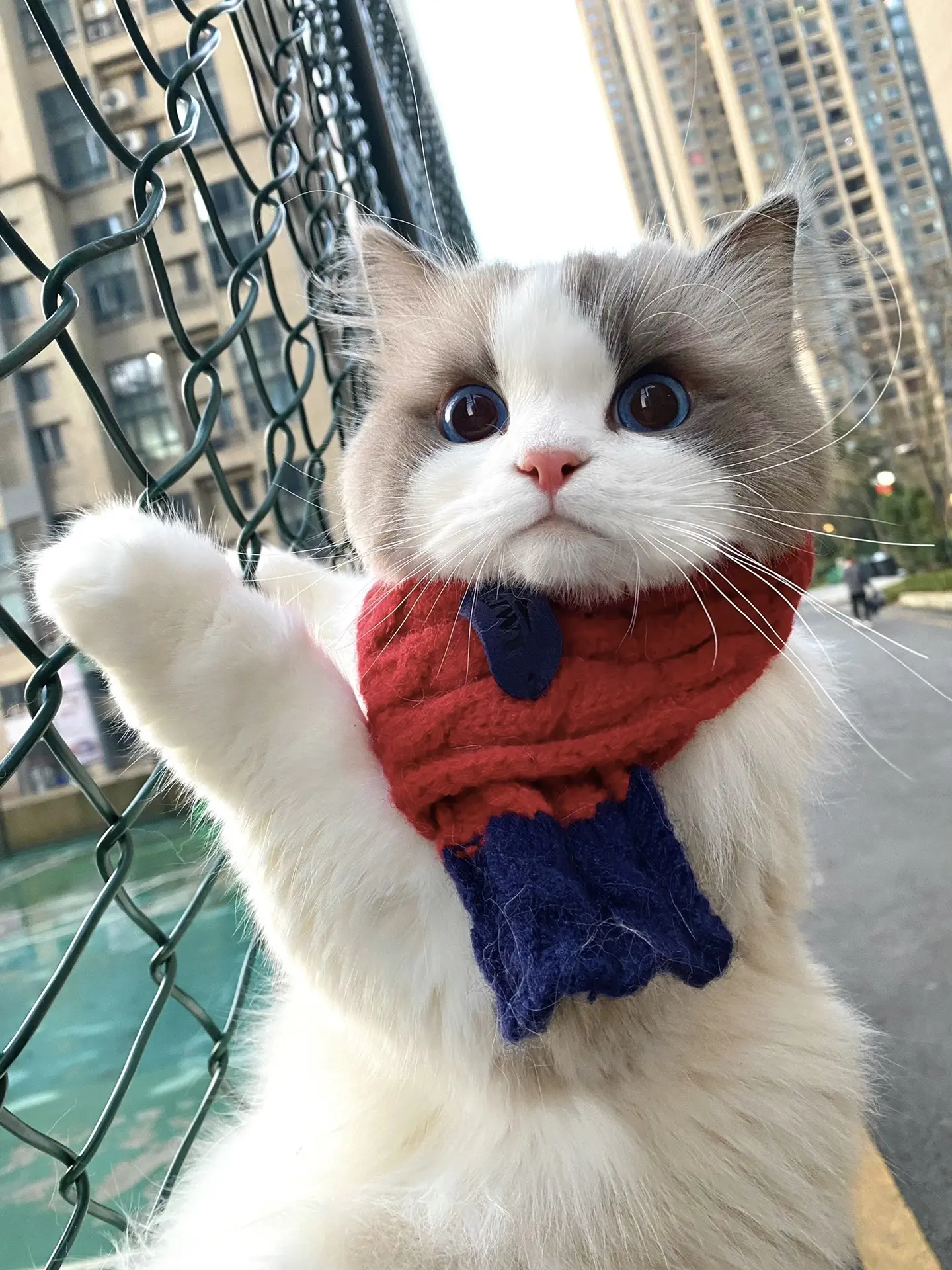 一眨眼 爬着爬着就快三岁了。