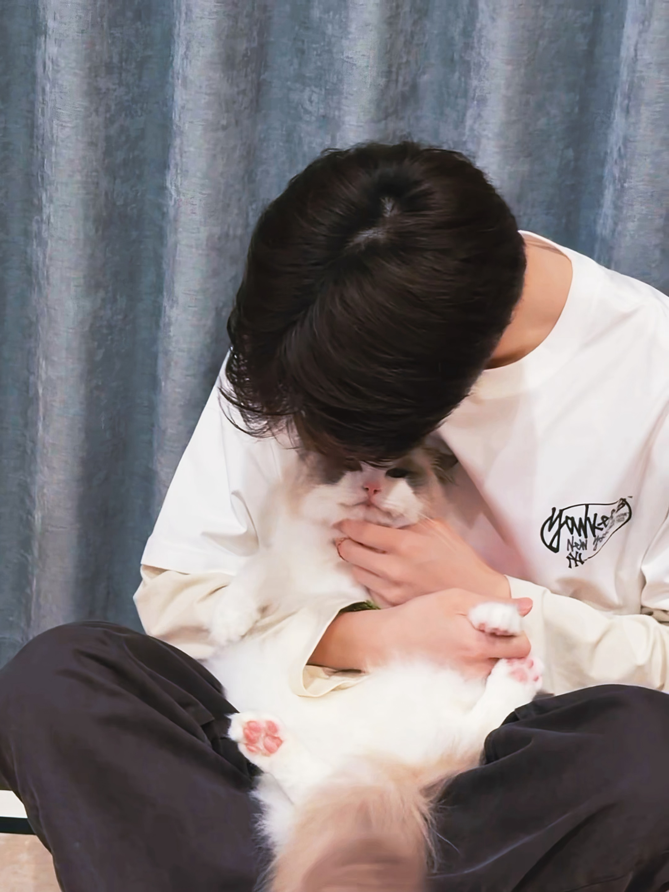 两只猫的时间记录仪🐱张康乐