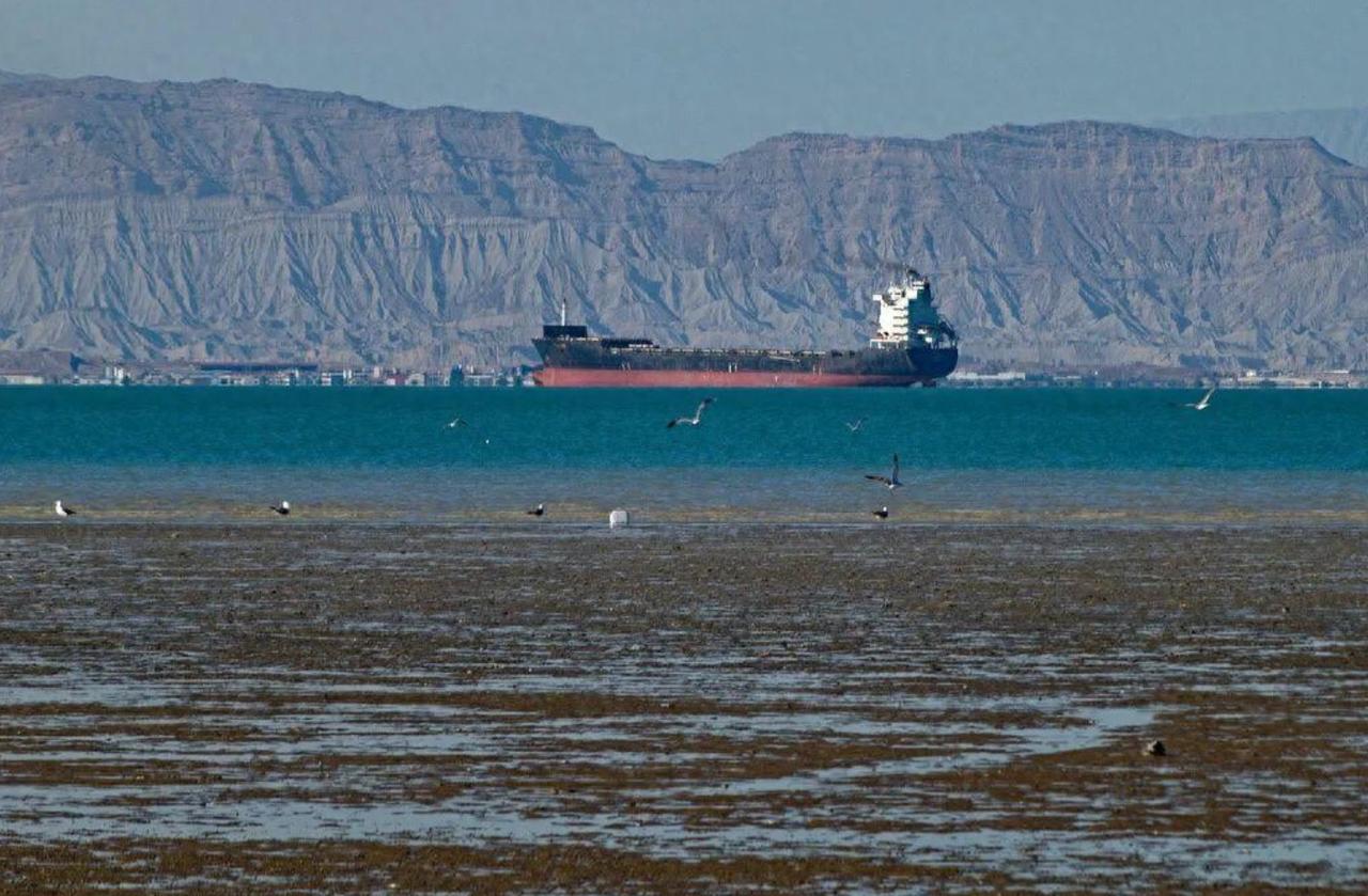 这还得了，伊朗什么时候允许日本这样肆意妄为？

最近刷到一条消息，真的让人有点懵