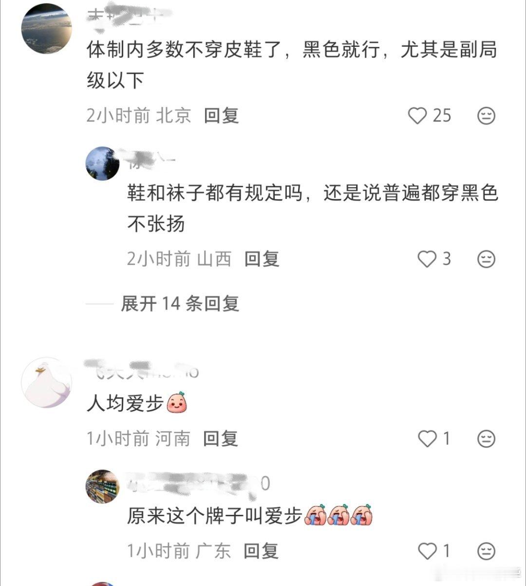 你瑜的“粉丝儿”，所以说真正的“粉丝儿”是全人类里捞的，体制内穿着范本。 