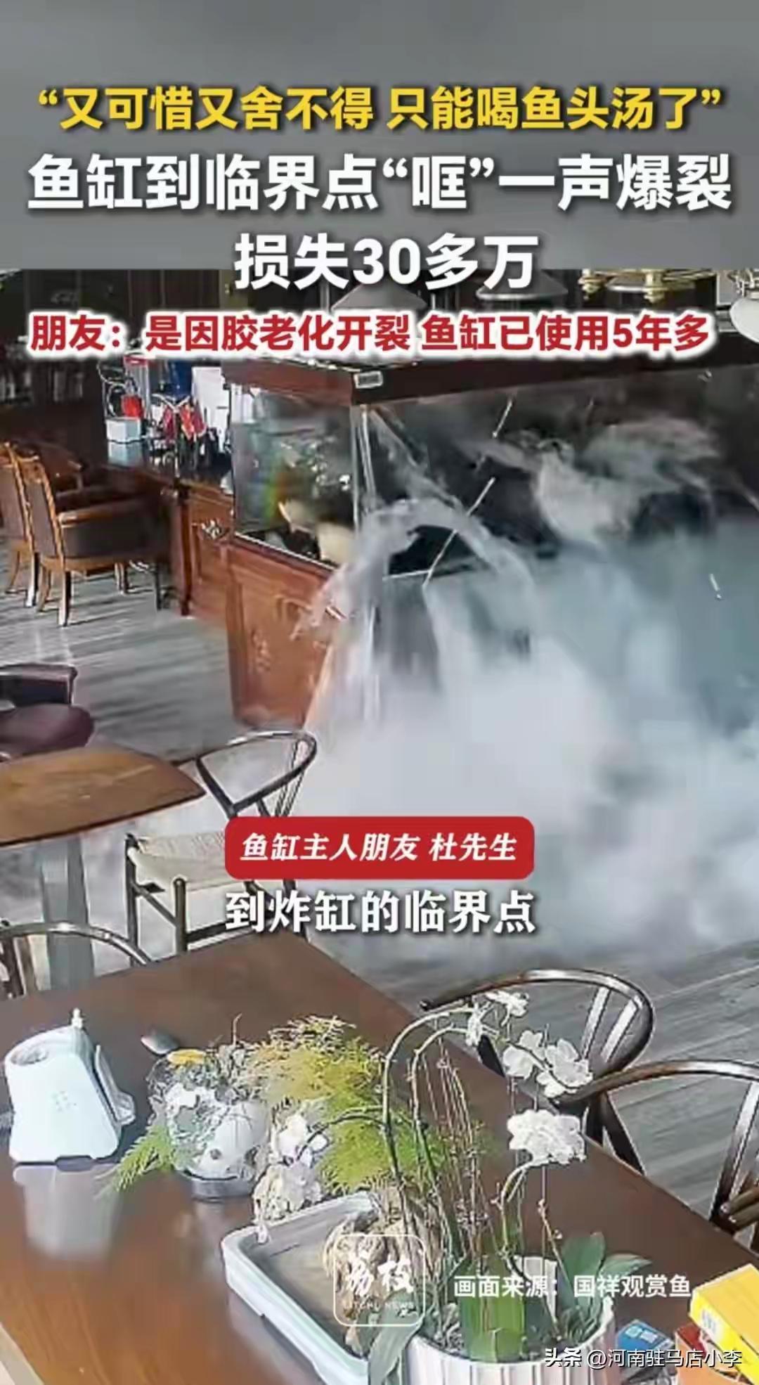 一户人家家中大型鱼缸突然发生爆裂，缸内总价值超30万的名贵观赏鱼全部受损，好好的