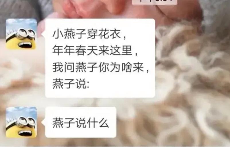 燕子说了什么呢？？？ ​​​